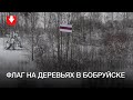 В Бобруйске на деревьях вывесили большой флаг