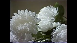 картинка: 5-летний юбилей Томского Центра Сибирского фольклора, 1996 год