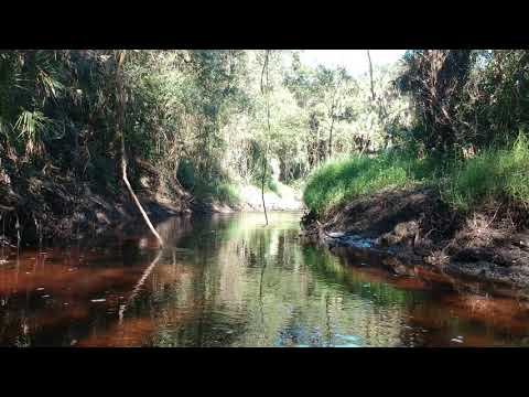 Myakkahatchee Creek Floodplain