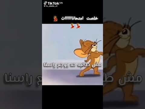الامتحانات