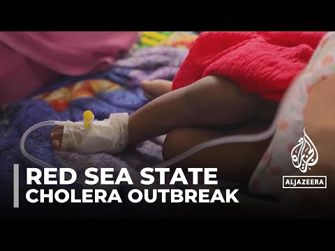 Cholera outbreak: More than 2,200 cases in Red Sea State