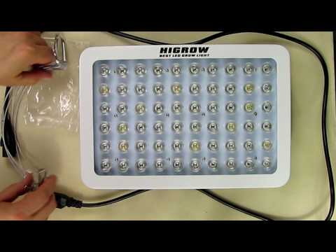 BRIGHTEST 300W Full