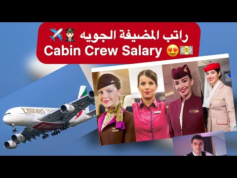    راتب المضيفة الجوية