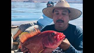 Download Lagu GOYON MP3