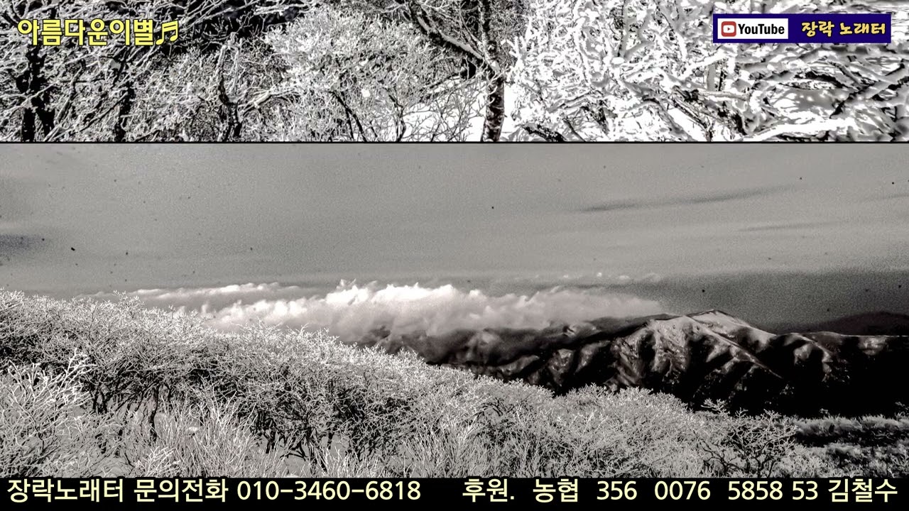 아름다운이별(나훈아).  커버 장락