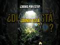 El lugar que ni el dinero puede comprar: La cueva más grande del mundo #travel #nature