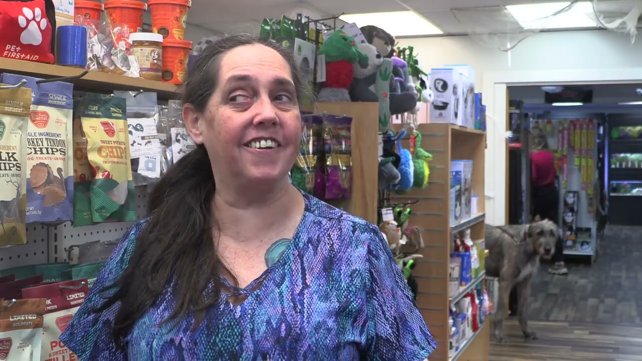 Rain or Shine Pets: Locals Helping Locals Care for Their Pets in Shelton, Washington