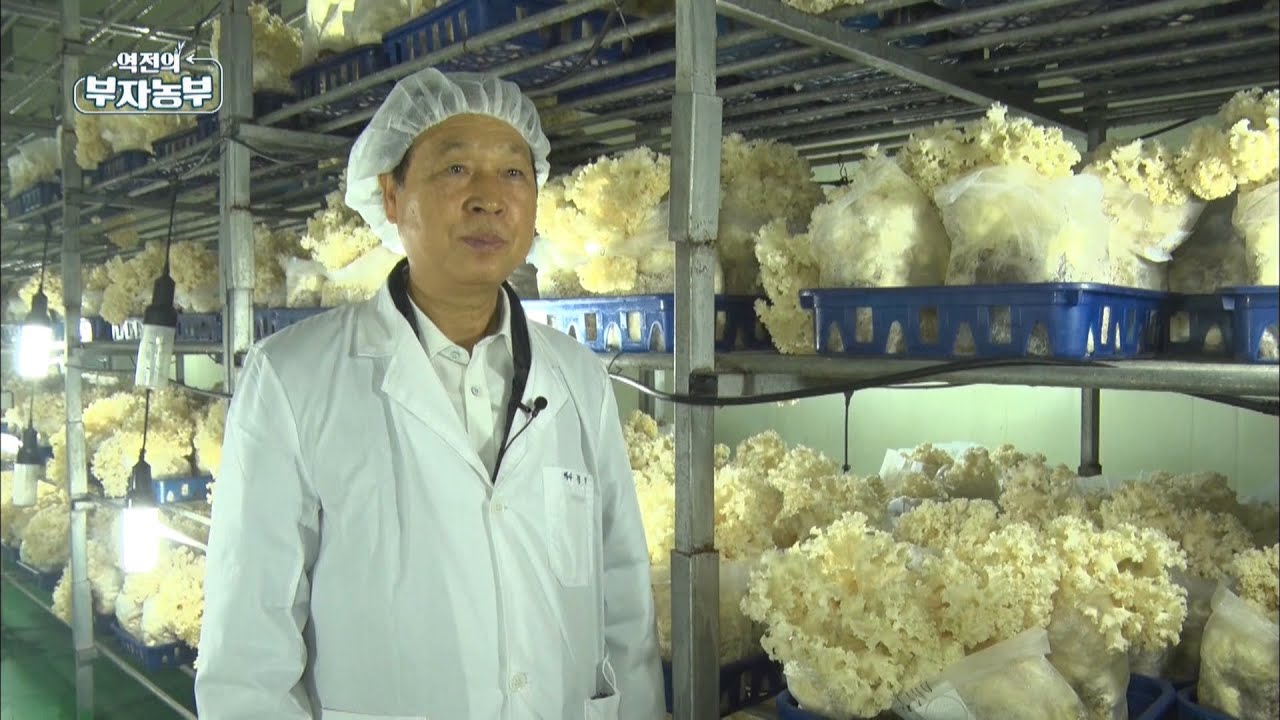 [123회] '꽃송이버섯'으로 연매출 7억!