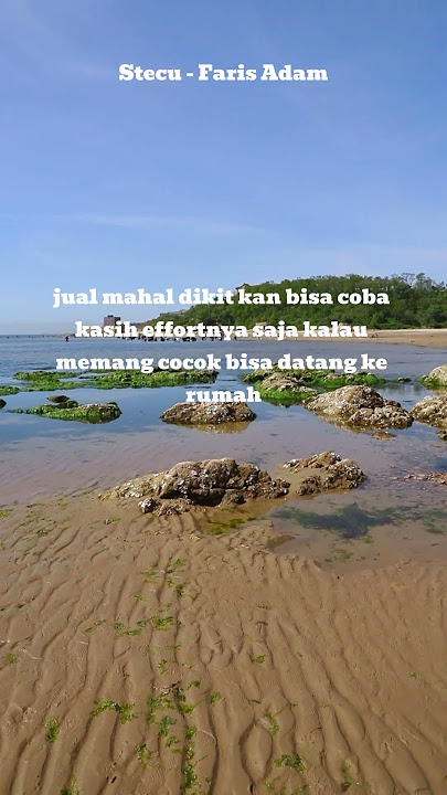 Lirik Stecu - Faris Adam #farisadam #StecuStecu#liriklagu #lirikviral #liriktrend #lirikhits