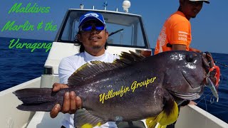 Maldives Yellowfin Grouper Soft Landing by Woang screenshot 2