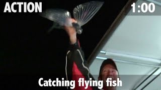 Catching Flying Fish