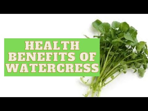 Top 10 Health Benefits Of Watercress