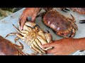 Cuisine de rue vietnamienne  crabe dungeness mui n fruit de mer vit nam