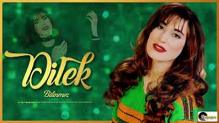 Dilek - Bilinmez