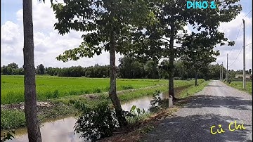 ĐỊA ĐIỂM ĂN UỐNG CỦ CHI | BÒ TƠ HAI NGHẸO & NƯỚC MÍA SẦU RIÊNG VƯỜN CAU