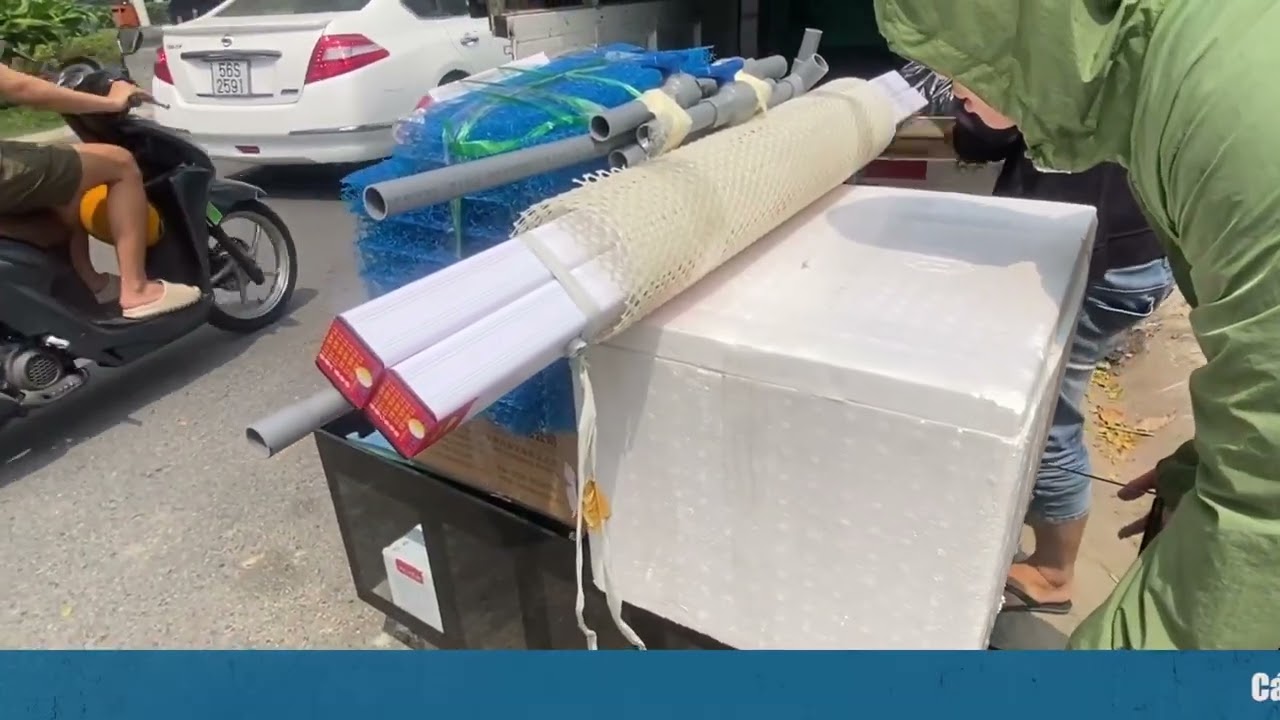 Anh khách ở Đảo Kim Cương ủng hộ hồ và cá