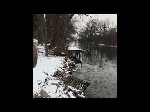 Feeding the ducks on a calm snowy day