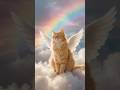 Losing a Cat Hurts More Than Most People Understand 💔🐾 #cats #catshorts #catparents