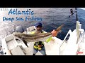 Atlantic Reef Fishing with the Captain of Crooked PilotHouse boat
