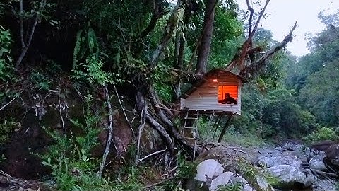 3 hari Membangun tempat perlindungan yang nyaman dipinggir sungai,solo camping buschraft