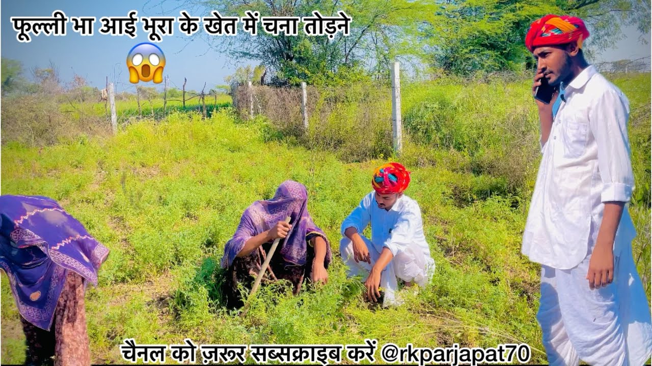 फूल्ली भा आई भूरा 👳🏻‍♂️ के खेत में चना तोड़ने 🌱🌴😅 || RK Prajapat ki comedy 