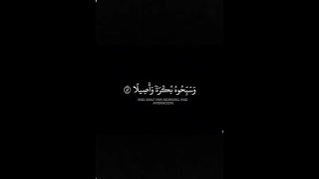 {وكان الله بكل شيئ عليما} سورة الأحزاب | الشيخ ياسر الدوسري تلاوة هادئة#القرآن_الكريم #ياسر_الدوسري