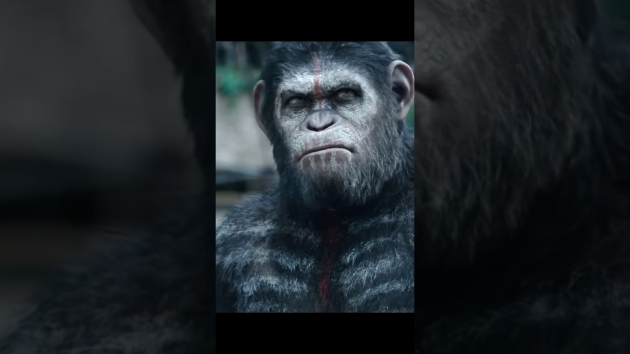 Have you ever heard an animal talking? 🤔 