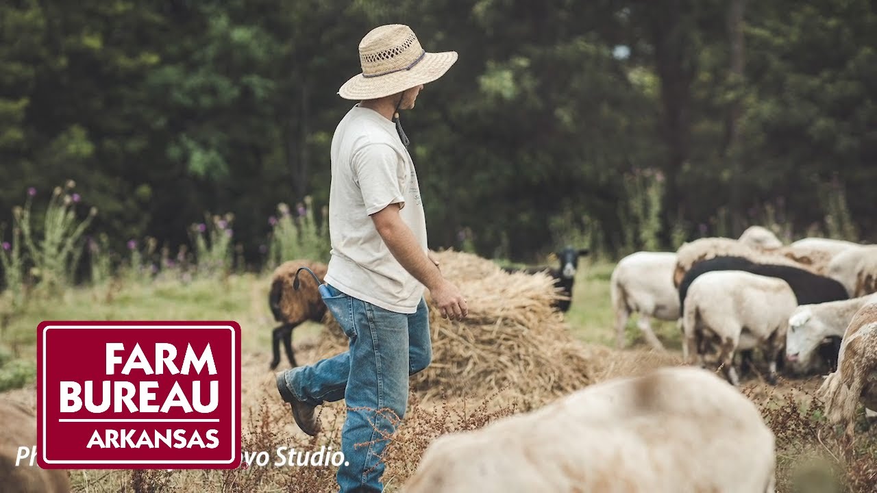 Farm Apprenticeship Program | Frank Ostapowicz