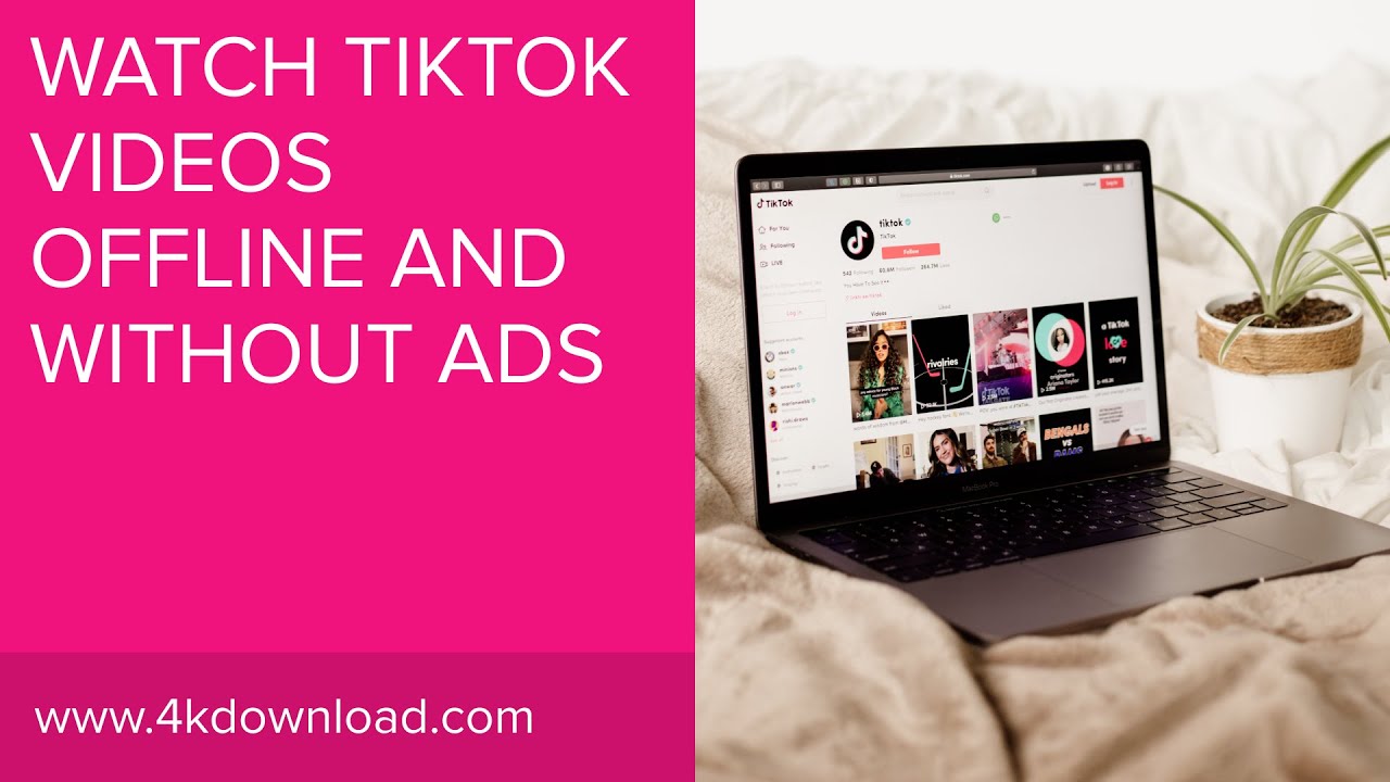 How can I watch TikTok videos offline?