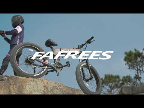 FAFREES FF91 1000W Motor Fat-tire E-bike