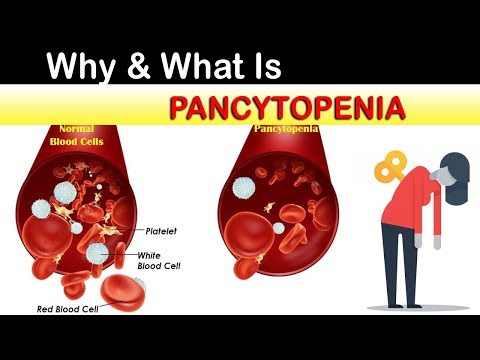 Videó: Pancytopenia - Pancytopenia Okai és Tünetei