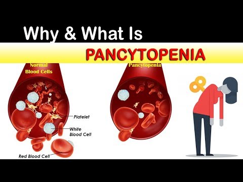 ಪ್ಯಾನ್ಸಿಟೋಪೆನಿಯಾ ಏಕೆ ಮತ್ತು ಏನು?