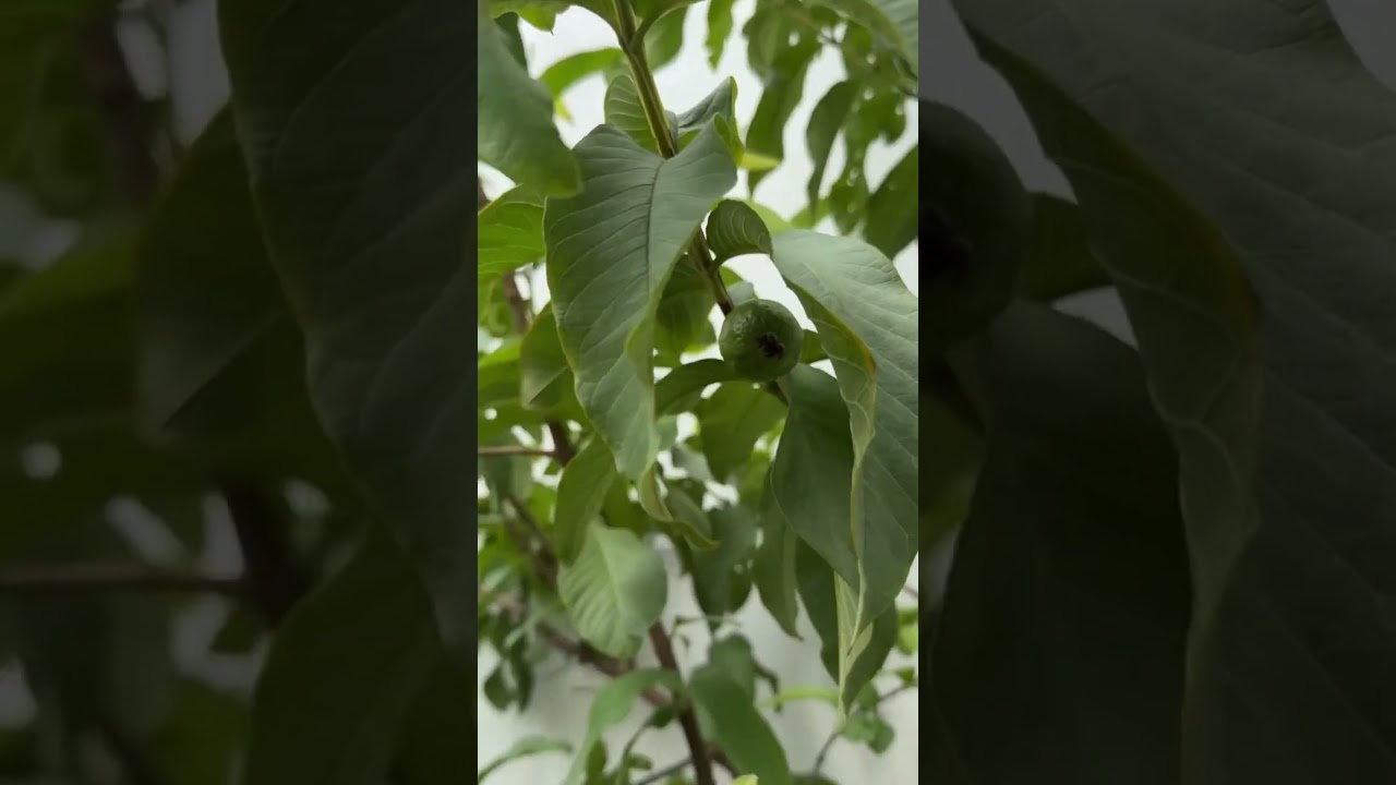 Kindness never goes unnoticed | Maira Butt