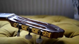 my new guitar! valencia cg-50ce demo