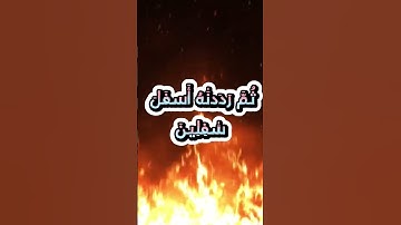 سورة التين