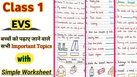 Class 1 EVS |Class 1 EVS Worksheet | EVS Worksheet for Class 1| EVS Class 1| Ukg Evs Worksheet