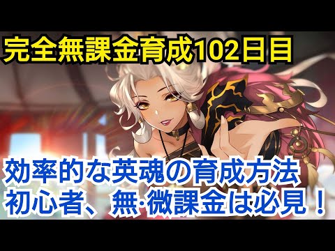 【オリアカ攻略】効率的な英魂育成　完全無課金育成102日目【オリエント·アルカディア】