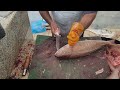 Crazy Speed Fish Cutting Master|| Actual Fish Cutting Beauty|| Amazing Fish Fillet Video