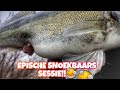 Snoekbaars vissen - EPISCHE DROP SHOT SESSIE