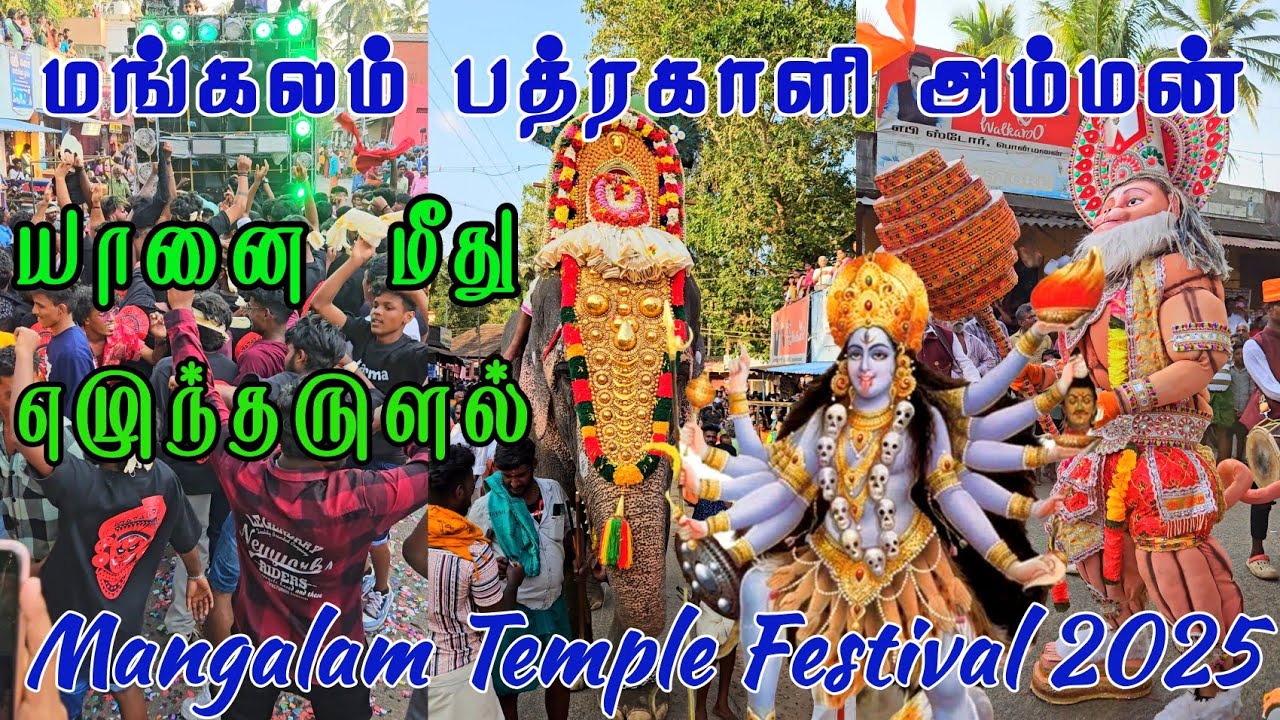 Mangalam Sree Bhadrakali Amman Temple Orvalam 2025 | மங்கலம் ஸ்ரீ பத்ரகாளி கோவில் ஊர்வலம் 23-02-2025