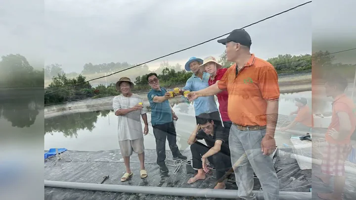 Nano bubble system shrimp farm