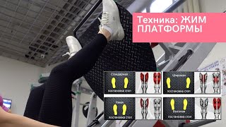 Техника упражнений: жим ногами