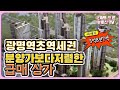 매물-2 . 경기도 광명시 광명역 (KTX, 1호선) 에서 20m / 상가 매매 가산동 광명 부동산 공인중개사무소 지식산업센터 전문