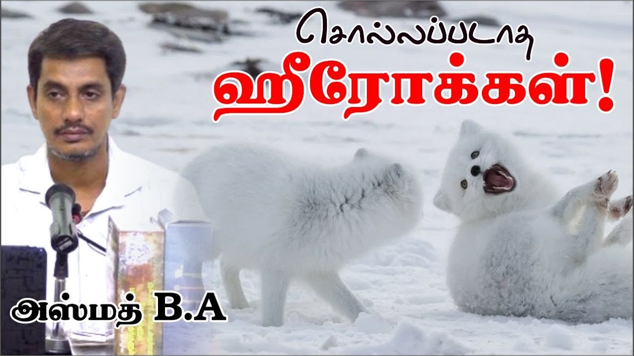 சொல்லப்படாத ஹீரோக்கள்!ᴴᴰ┇அஸ்மத் B.A┇Way to Paradise Class