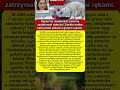 Gołymi pięściami okładała potwora po pysku. Jak krucha kobieta wyrwała dziecko ze szponów śmierci.