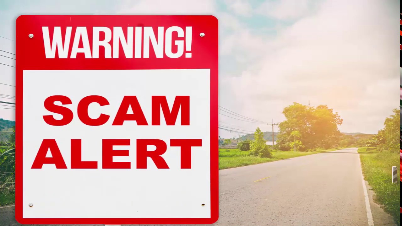 ganhar dinheiro online portugal 2019 BkiCoins SCAM Após 79 dias nossa Queridinha Partiu, pra quem entrou no Início, teve muito Lucro