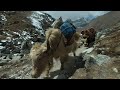 YAKS on Everest Base Camp trail in VR180 (Himalayas, Nepal) - 4K Virtual Reality