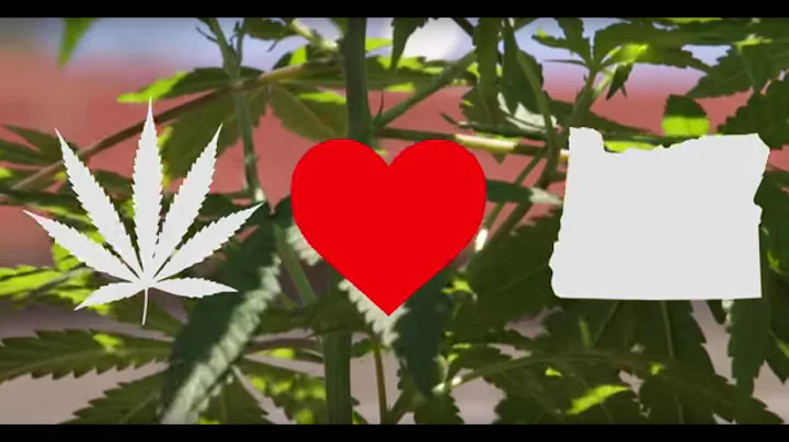 Should I grow marijuana indoors or outdoors? | 'Gr...