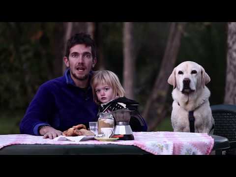 Video: Come Nominare Un Cane Labrador