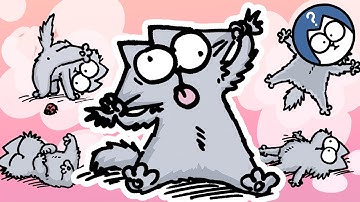 Get To Know The Kitten | Simon